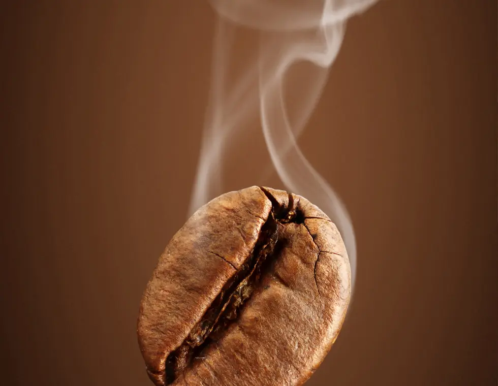 Nahaufnahme einer dampfenden Kaffeebohne auf braunem Hintergrund